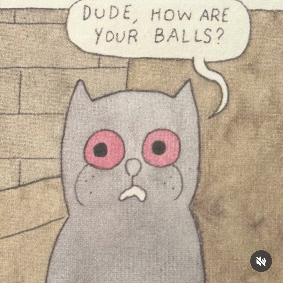Mogg the degen cat